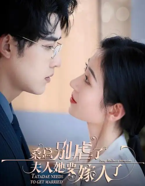 旧巷人家 家庭剧热播全集免费看